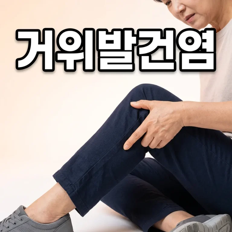 무릎 안쪽 아래 통증 거위발건염 — 증상 3가지와 단계별 치료법